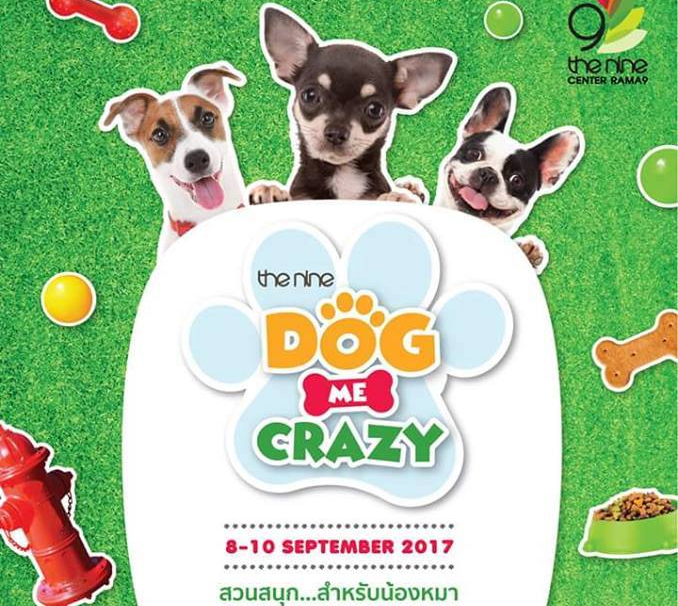 DOG ME CRAZY สวนสนุก...สำหรับน้องหมา